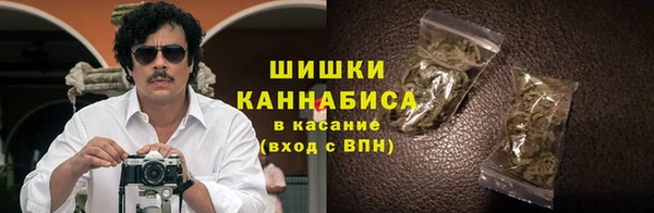 mdpv Бородино