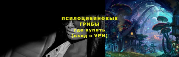 mdpv Бородино