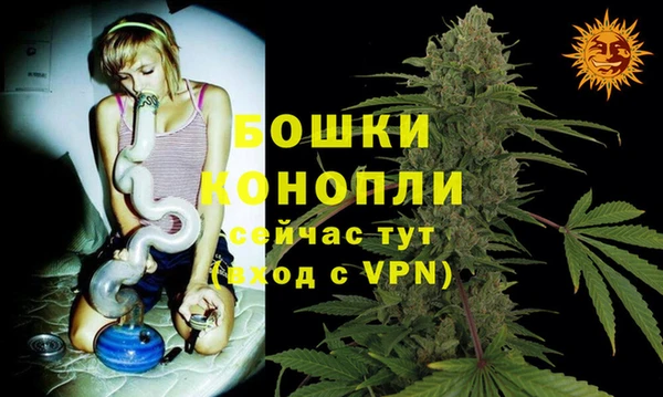 стафф Касимов