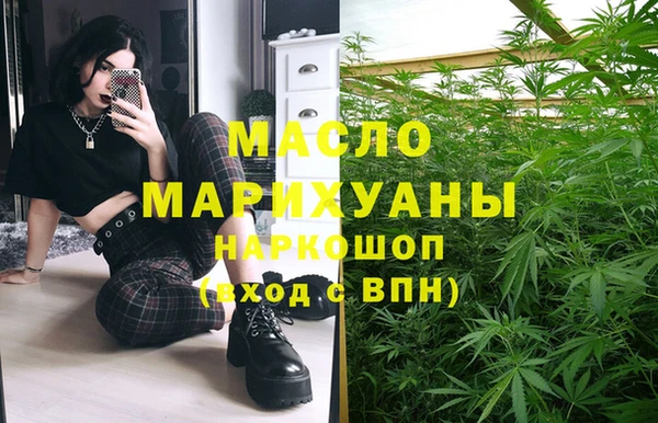 mdpv Бородино