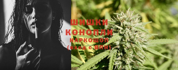 ECSTASY Богданович