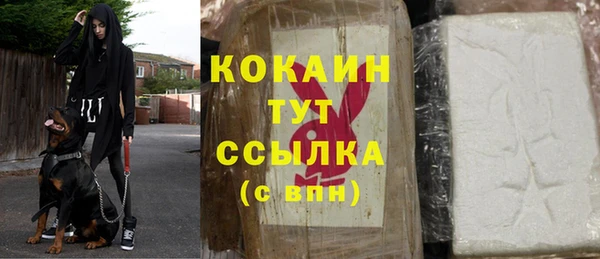 mdpv Бородино