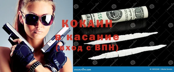 трава Богородицк